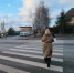 На аллее Ударников могут сделать новый пешеходный переход - Regions.Ru