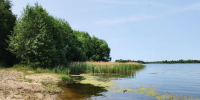 Эпидемиолог из Шатуры предупредил об опасности купания в грязной воде - Regions.Ru