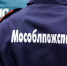 «Весомый» повод для помощи: пожарные Шатуры помогли медикам доставить тяжеловесную пациентку в больницу - Regions.Ru